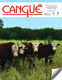 Portada revista 39 cangüé