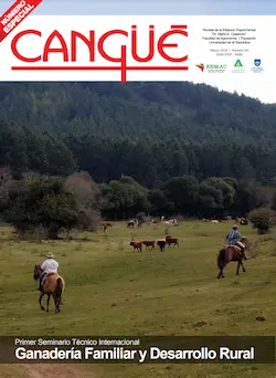 Tapa revista 40 cangüé