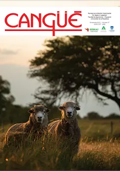 Portada revista 37 de la cangüé