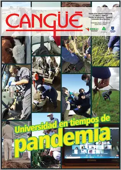 Tapa revista cangue número 43