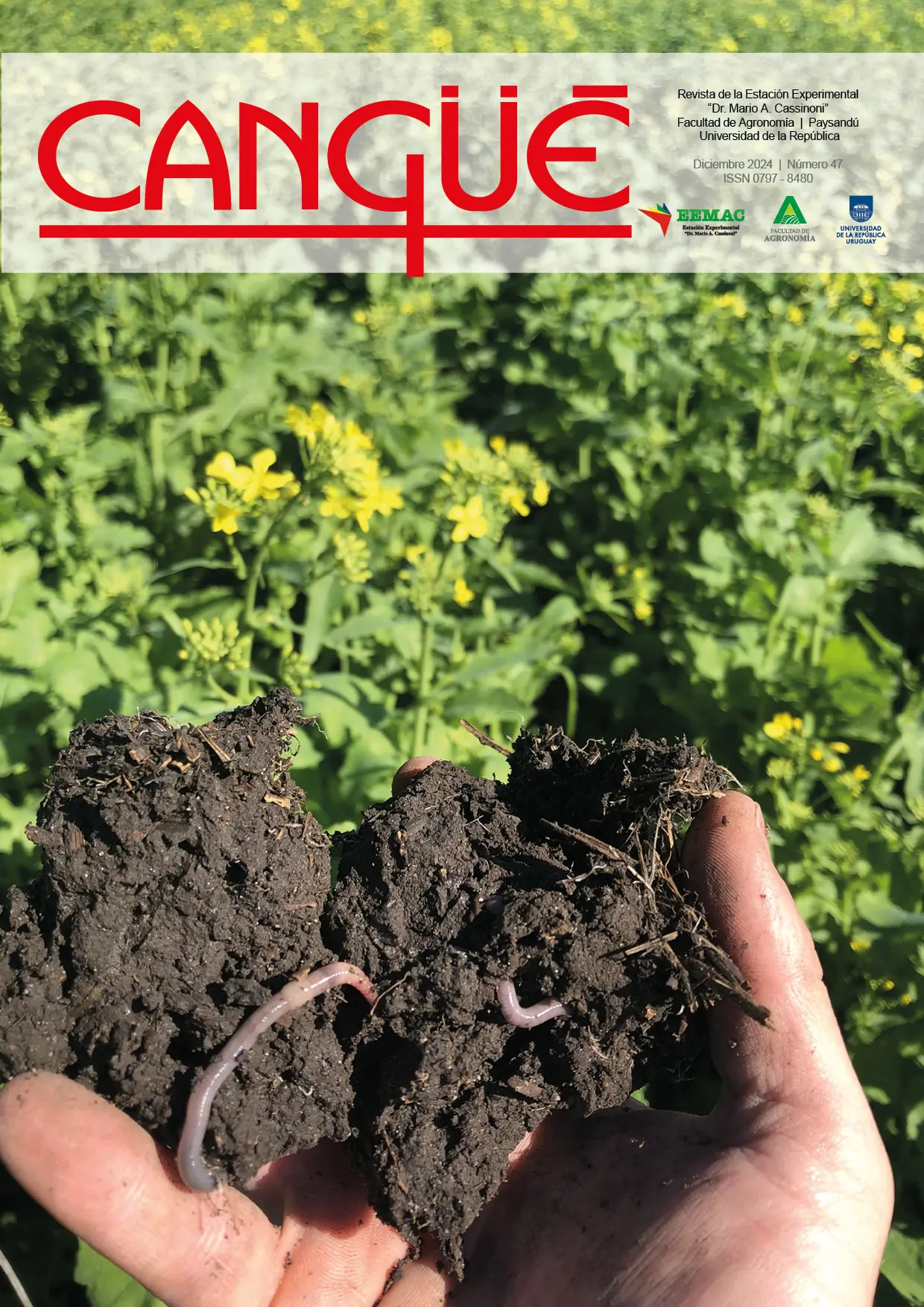 Tapa revista número 47